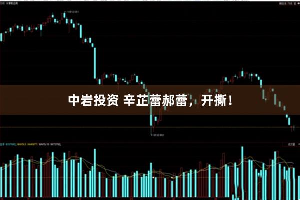 中岩投资 辛芷蕾郝蕾，开撕！