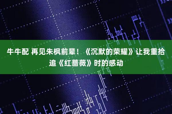 牛牛配 再见朱枫前辈！《沉默的荣耀》让我重拾追《红蔷薇》时的感动